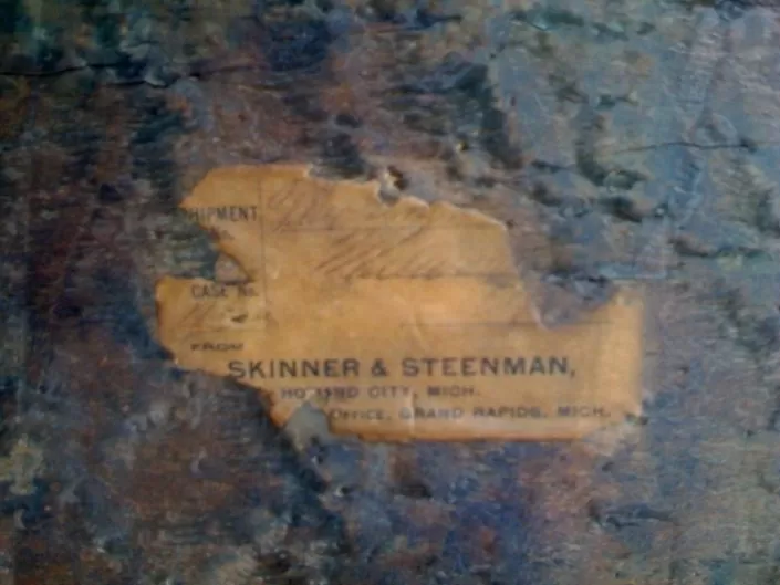 Skinner and Steenman